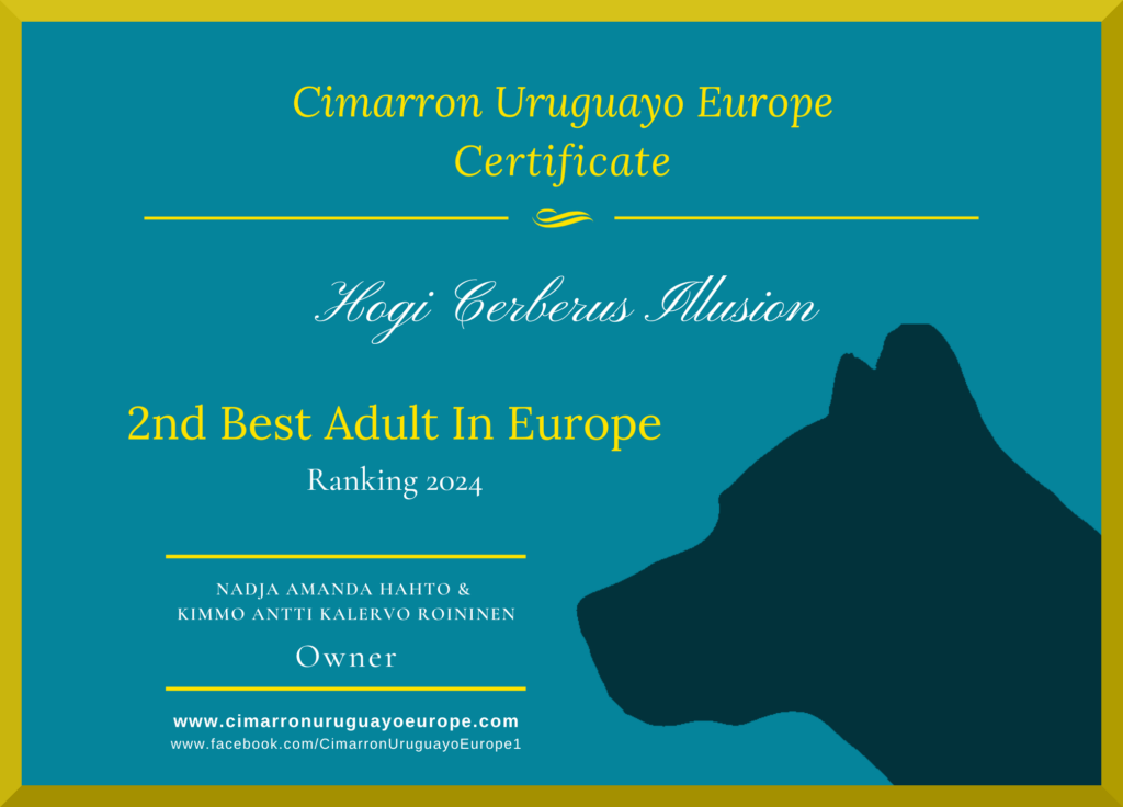 2nd Best Cimarron Uruguayo in Europe 2024