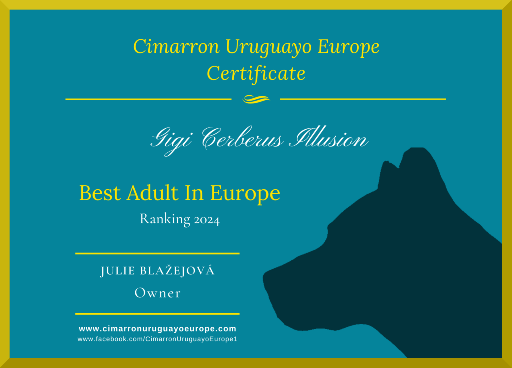 Best Cimarron Uruguayo in Europe 2024